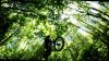 vlcsnap-2013-06-15-14h05m14s11.jpg