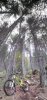 20131103_120514.jpg
