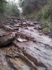 20131110_092119.jpg