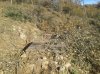 2013-12-07 09.59.02.jpg