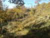 2013-12-07 09.46.57.jpg