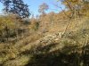2013-12-07 09.46.31.jpg