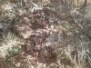 2013-12-07 09.43.34.jpg