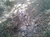2013-12-07 09.43.17.jpg