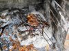 DSCN5109.jpg