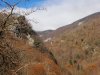 DSCN4951.jpg