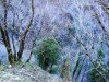 DSCN4974.jpg