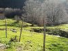 DSCN4982.jpg