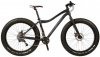 boris-x9-fatbike-600.jpg