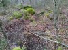 IMG_20140104_133007652.jpg