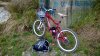WP_20140110_002.jpg