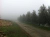 IMG_2893.jpg