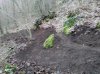IMG_20140121_165730547.jpg