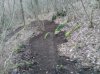 IMG_20140121_165704102.jpg