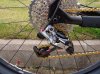 DSC00659.jpg
