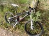 DSC00736.jpg