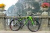 1-NINER-RDO.jpg