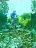 DSC01446.jpg