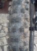 IMG976.jpg