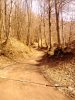 IMG_20140303_140354.jpg