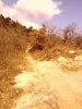 IMG_20140303_142501_1.jpg