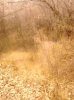 IMG_20140303_144514_2.jpg