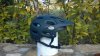 WP_20140318 3.jpg