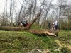 20140330_083458_fhdr.jpg