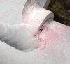 Liquidipenetranti_3.jpg