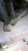 WP_20140412_006.jpg