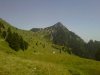 IMG-20130804-00098.jpg