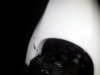 IMG-20140501-WA0035.jpg