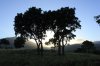 IMG_0332 copia.jpg