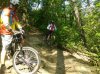 WP_000136.jpg
