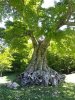 20140518_102808.jpg