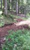 20140531_130821.jpg