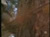 chuck-norris_1562845_GIFSoup.com.jpg