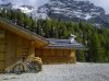 WP_003728.jpg