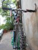 DSCN0387.jpg