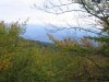 IMG_2720.jpg