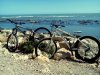 DSC00127.jpg