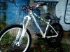 DSC00132.jpg