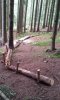20140723_153245.jpg