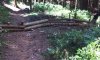 20140731_130339.jpg