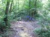 DSCN0096.jpg