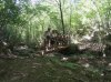 IMG-20140803-WA0012.jpg