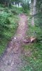 20140806_082337.jpg