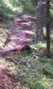 20140806_121213.jpg