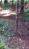20140806_121301.jpg