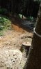 20140806_145502.jpg